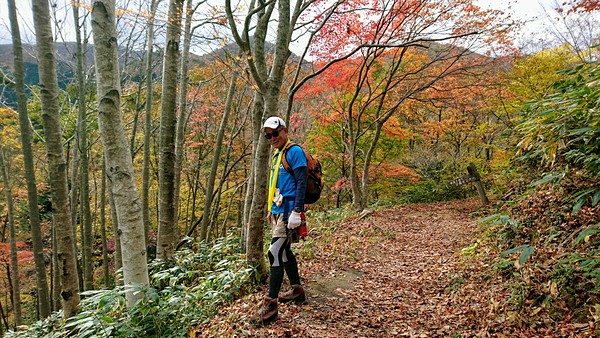 11月 比婆山 紅葉トレッキン