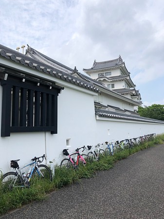 解除後の江戸川ライド