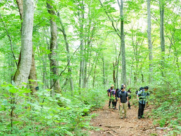 新規メンバー募集中 埼玉の登山チーム アウトドア系社会人サークル スポーツやろうよ