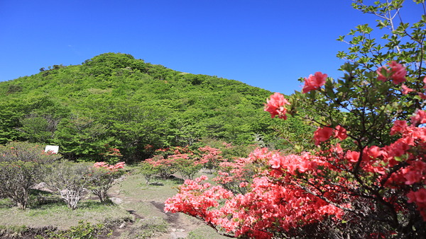 荒山鍋割1572m210530