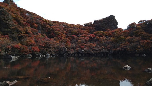 大船山御池の紅葉