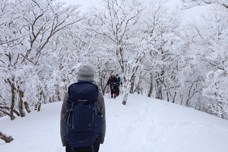 綿向山の霧氷