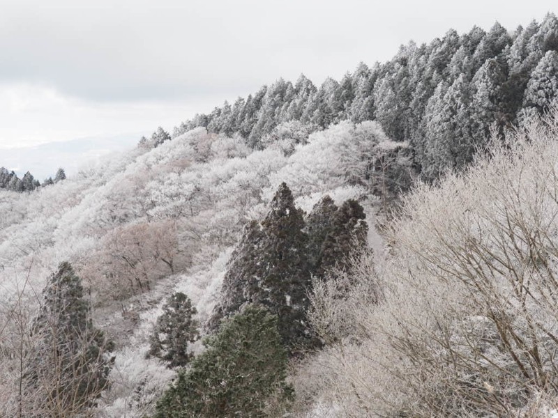 金剛山