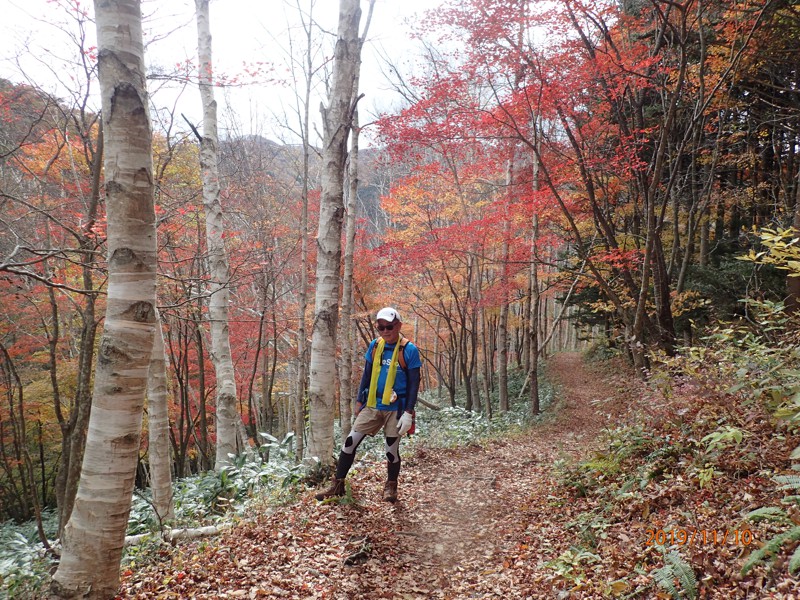 秋の比婆山　11月