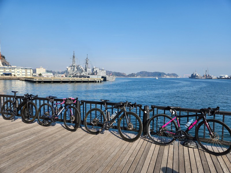 三浦半島河津桜ライド