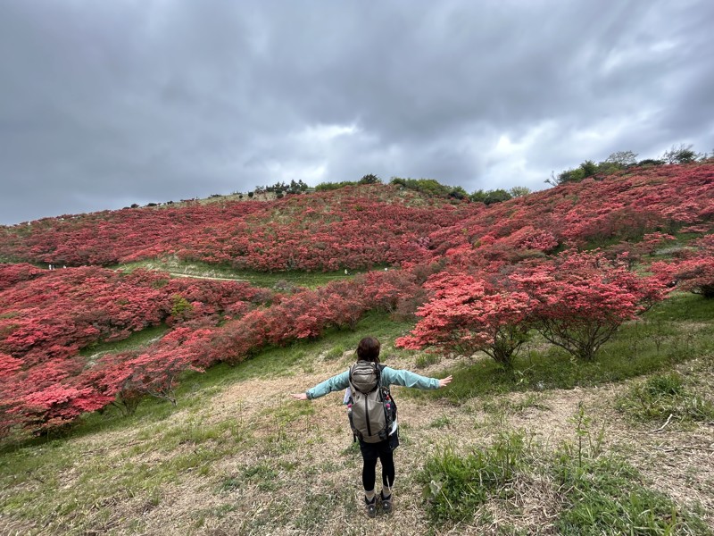 花の群生見に行きます