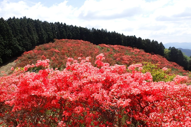 大和葛城山