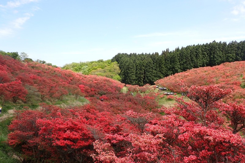 大和葛城山