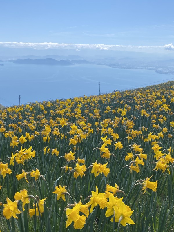 蓬莱山