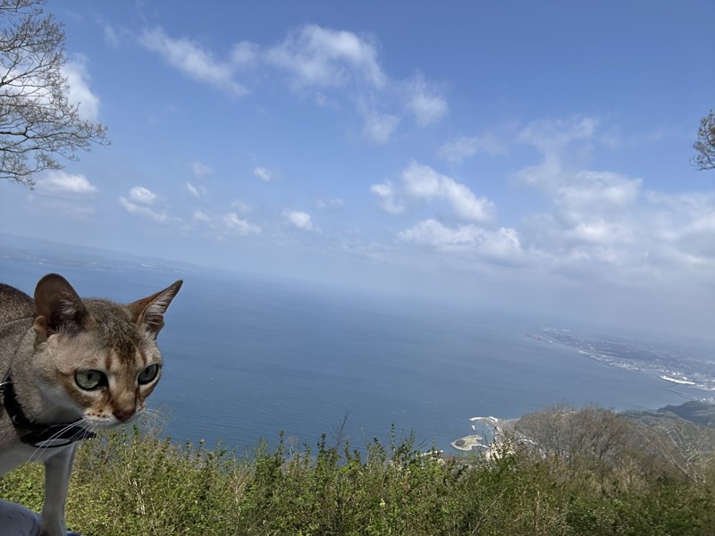 高崎山