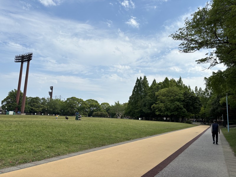 広々とした歩道で歩けます！