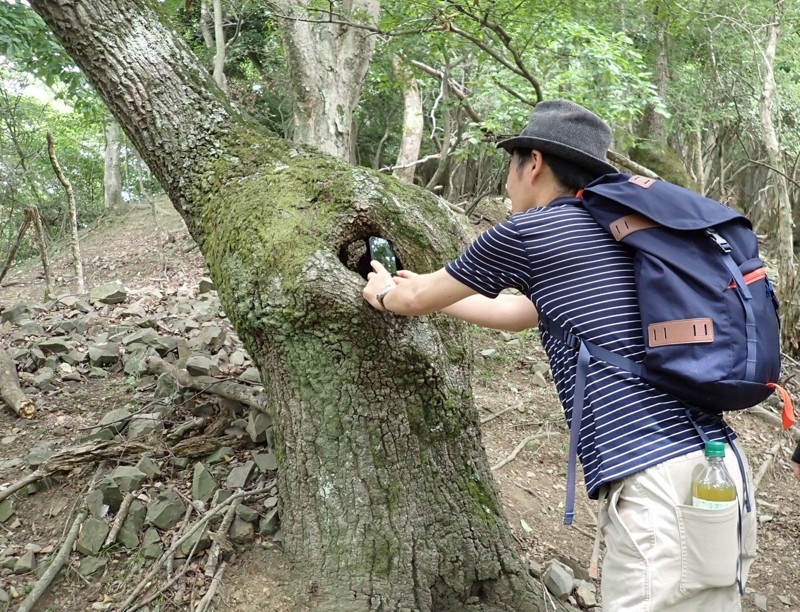 初谷渓谷ハイキング※妙見山