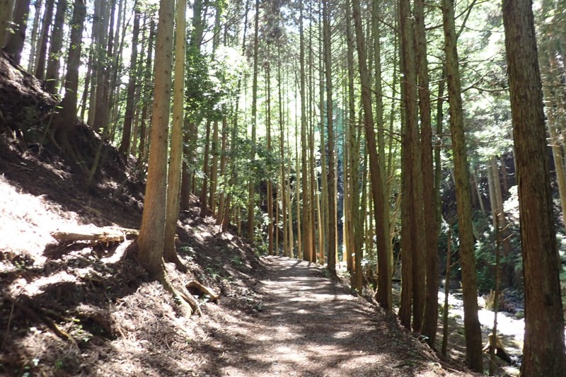 初谷渓谷ハイキング※妙見山