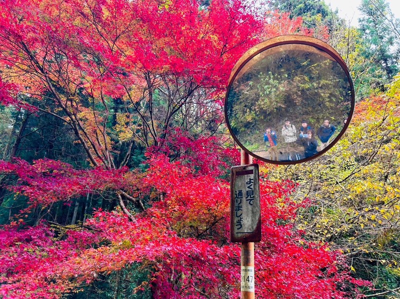 紅葉登山🍁