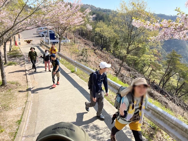 お花見登山