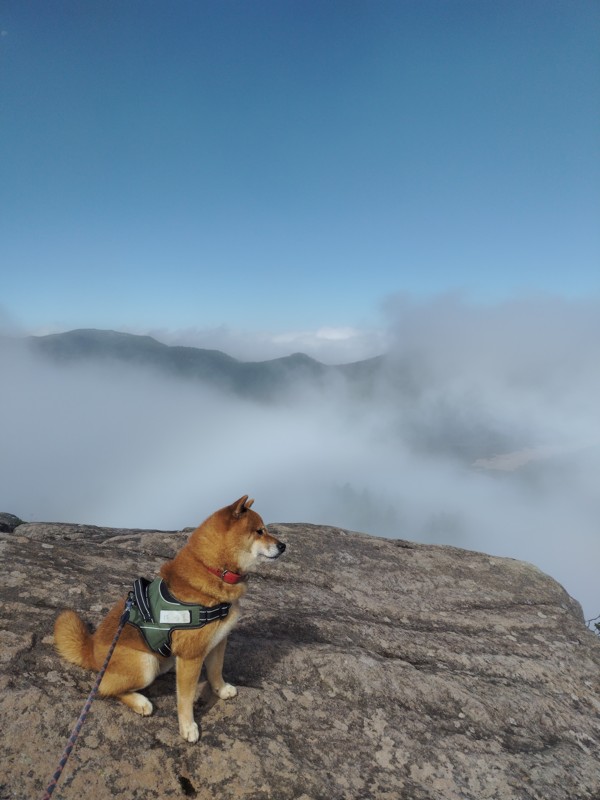 家形山・9月