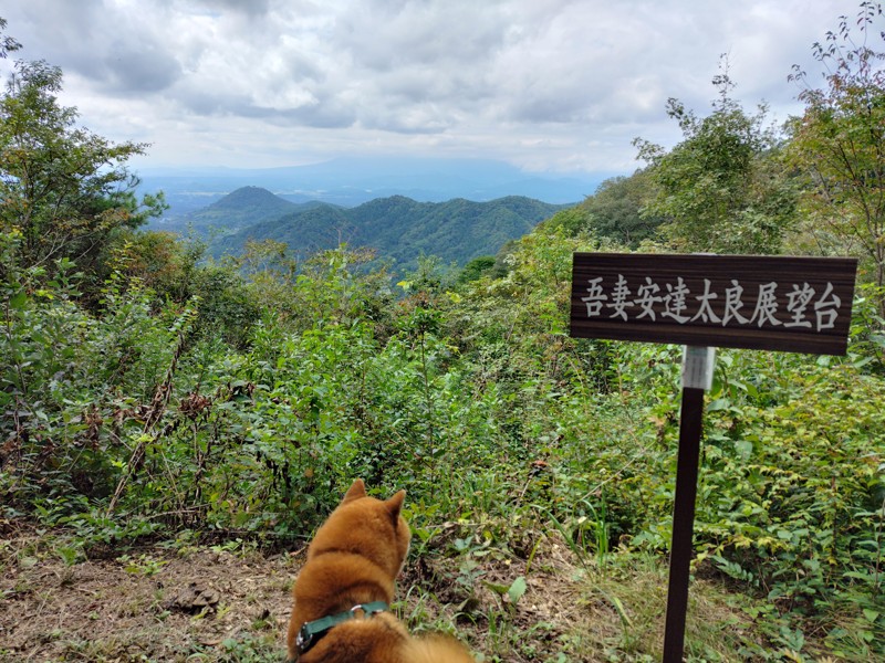 女神山椚平口・9月