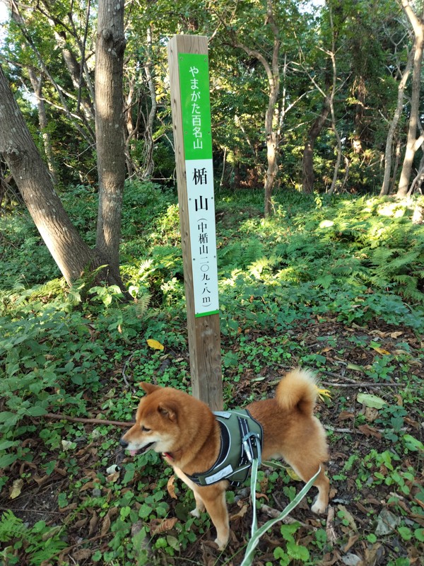 楯山・10月