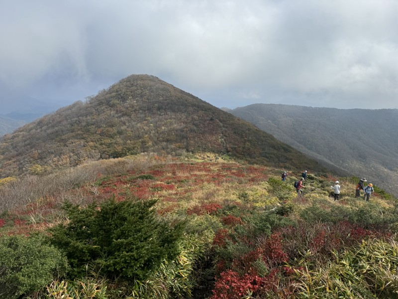 紅葉も見に行かなければ