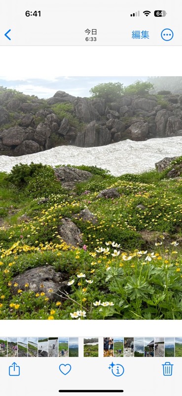 憧れの白馬の花園