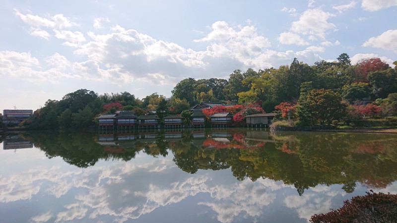 公園近くの八条ヶ池