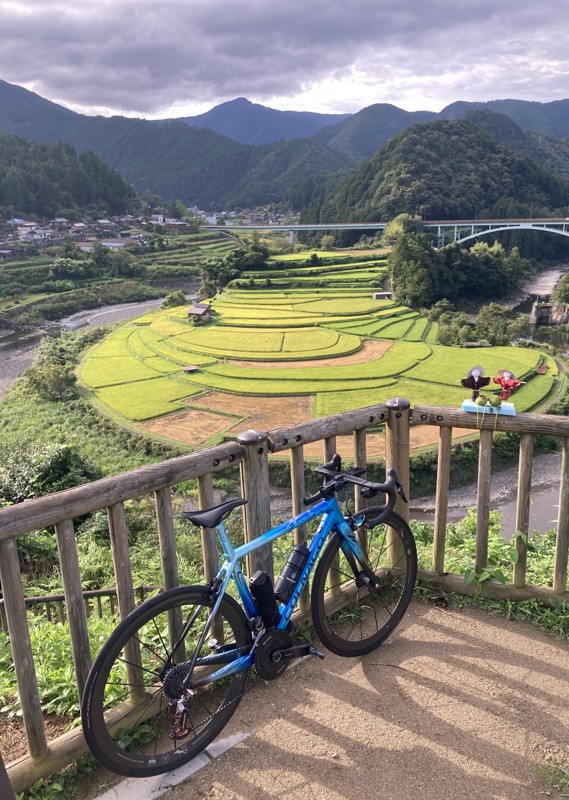 あらぎ島