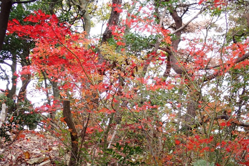 風吹岩〜七兵衛山〜金鳥山