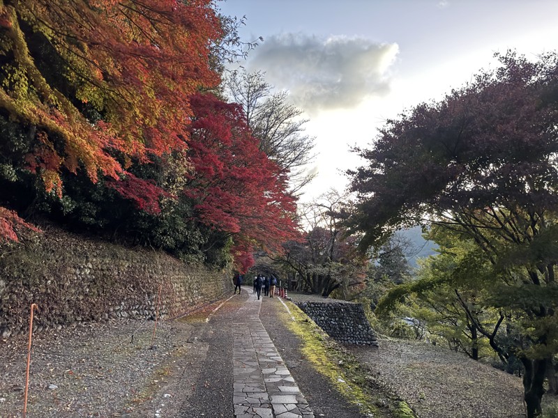 熊野古道🍁ばっちり