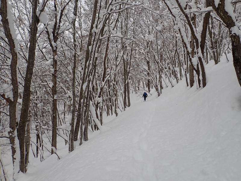 白鷹山・1月