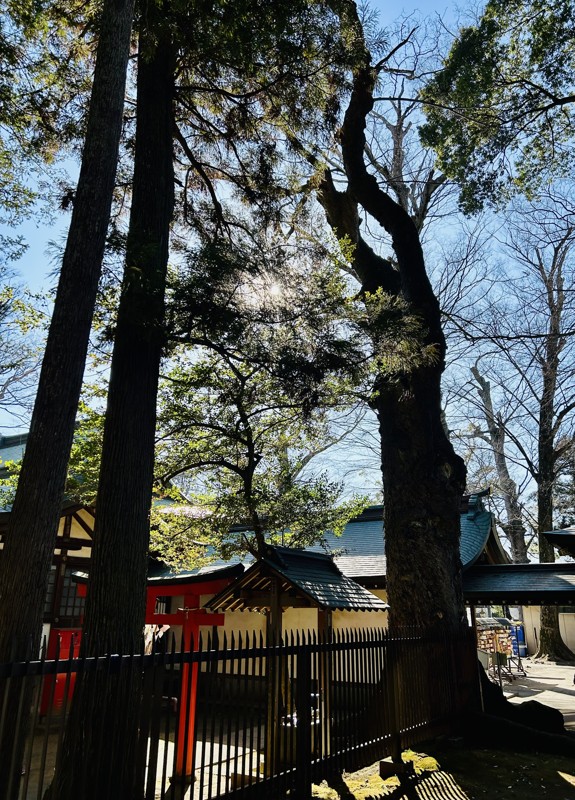 一言主神社で安全祈願