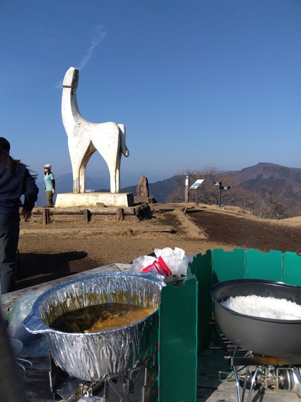 一から作るカレーライス