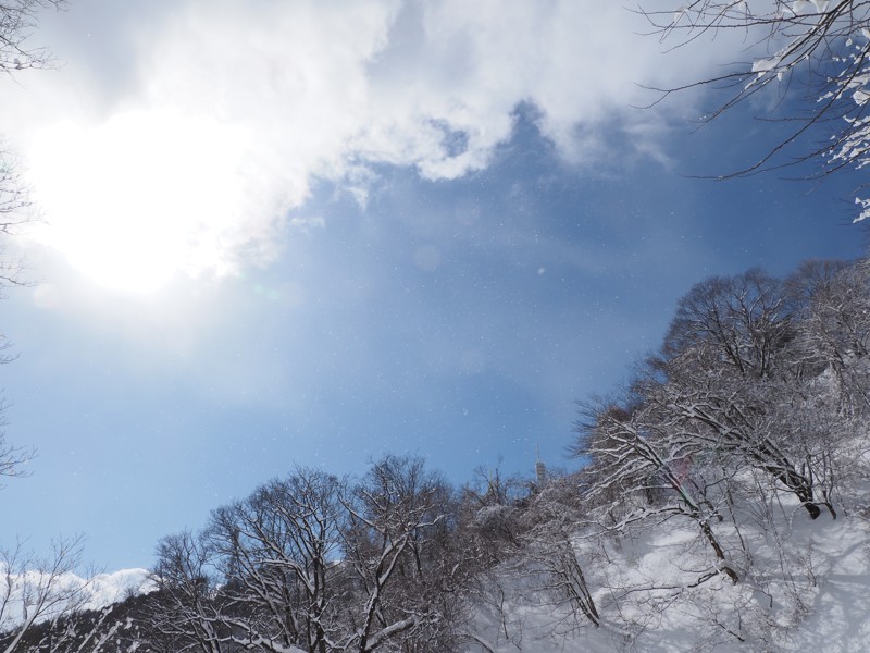 弥彦山8合目あたり？