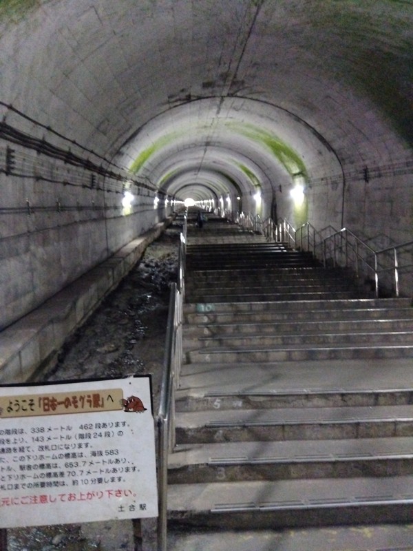 土合駅の長〜い階段